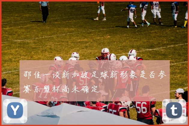 邵佳一谈新加坡足球新形象是否参赛东盟杯尚未确定